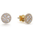 1.30ct Cubic Zirconia Round Cluster Earrings in 14k Yellow Gold Plated Silver