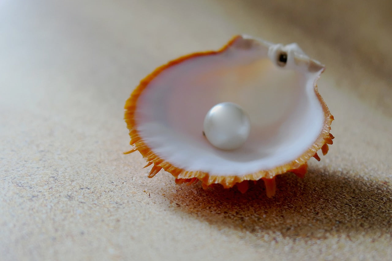 White Pearl in a Clam